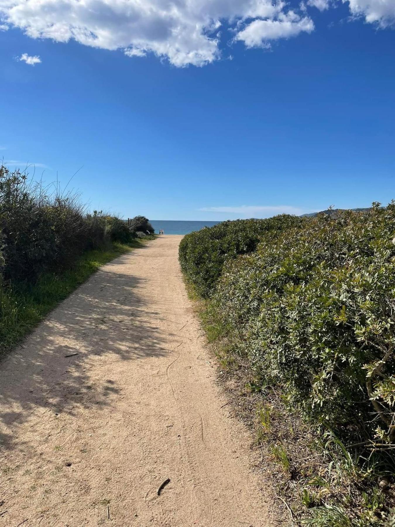 La Belle Vie F4 Bord De Plage Avec Jardin 卡尔卡托吉奥 外观 照片