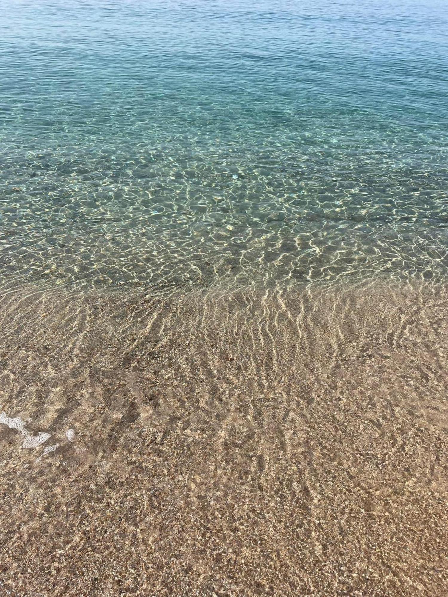 La Belle Vie F4 Bord De Plage Avec Jardin 卡尔卡托吉奥 外观 照片