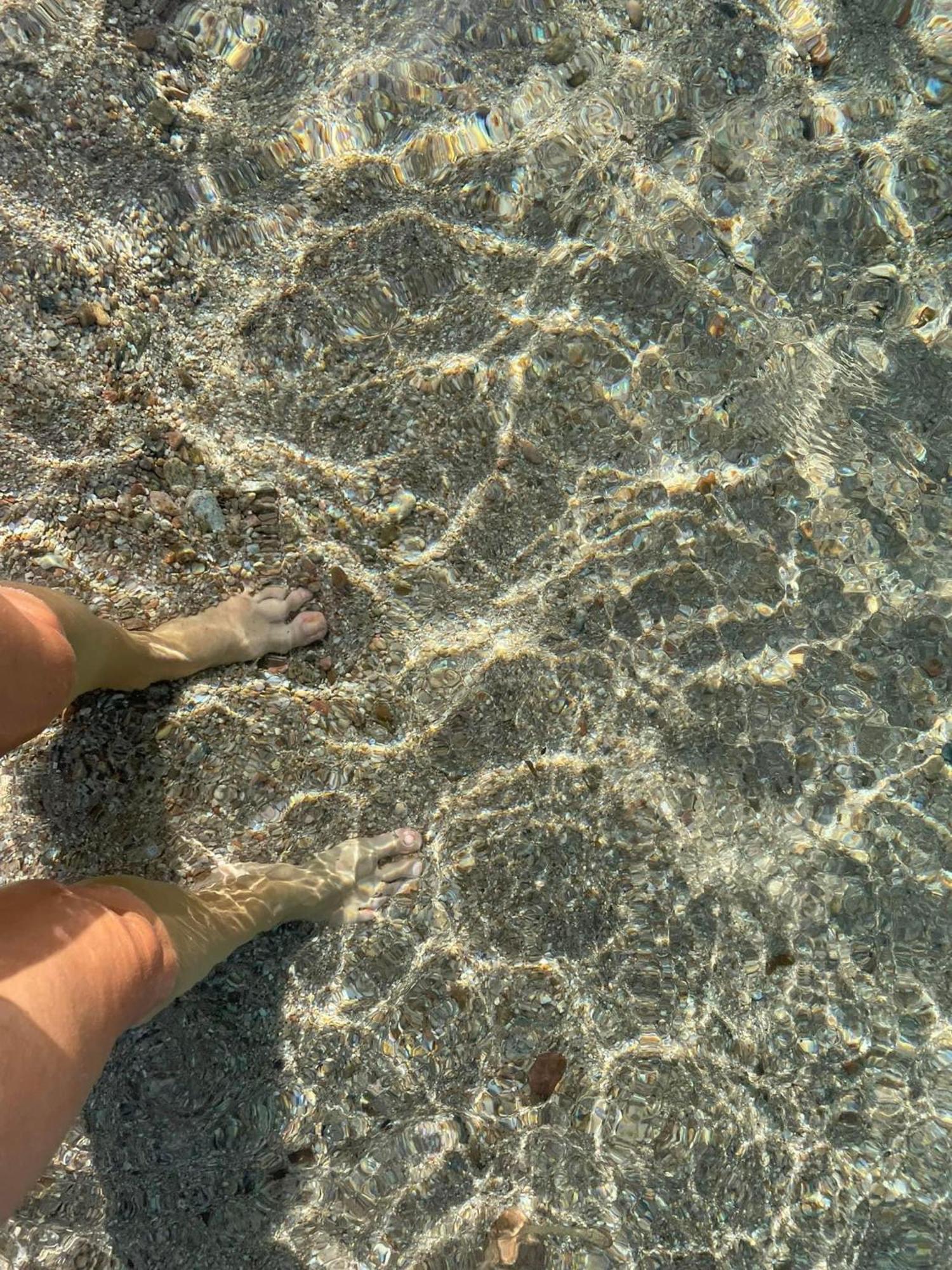 La Belle Vie F4 Bord De Plage Avec Jardin 卡尔卡托吉奥 外观 照片